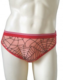 Cueca Homem Aranha